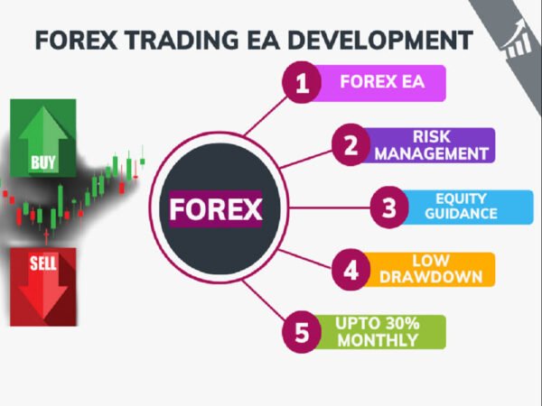EA Development – Forex Focuss